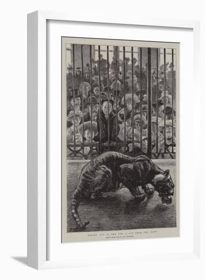 Boxing Day at the Zoo, a Cut from the Joint-Charles Paul Renouard-Framed Giclee Print