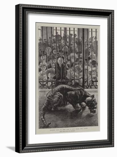 Boxing Day at the Zoo, a Cut from the Joint-Charles Paul Renouard-Framed Giclee Print