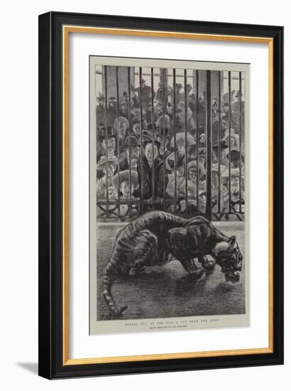 Boxing Day at the Zoo, a Cut from the Joint-Charles Paul Renouard-Framed Giclee Print