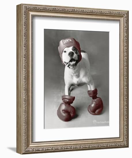 Boxing Dog-Rachael Hale-Framed Art Print