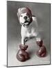 Boxing Dog-Rachael Hale-Mounted Art Print