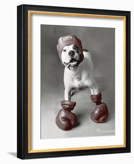 Boxing Dog-Rachael Hale-Framed Art Print