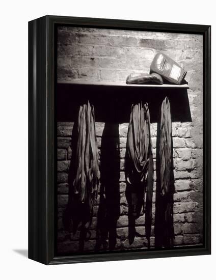 Boxing Equipment, New York, New York, USA-null-Framed Premier Image Canvas