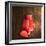 Boxing Gloves on Wall-Macrovector-Framed Photographic Print