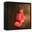 Boxing Gloves on Wall-Macrovector-Framed Premier Image Canvas