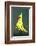 Boxing Kangaroo Painted-Cahir Davitt-Framed Photographic Print