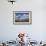 Boy (Aged 17) Jumping across Upland Stream-Mark Hamblin-Framed Photographic Print displayed on a wall