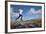 Boy (Aged 17) Jumping across Upland Stream-Mark Hamblin-Framed Photographic Print