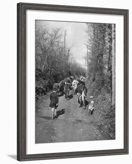 Boy and His Dog Driving the Cows in for Milking-null-Framed Photographic Print