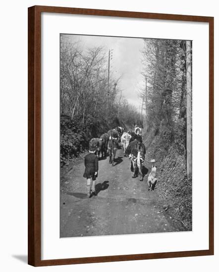 Boy and His Dog Driving the Cows in for Milking-null-Framed Photographic Print