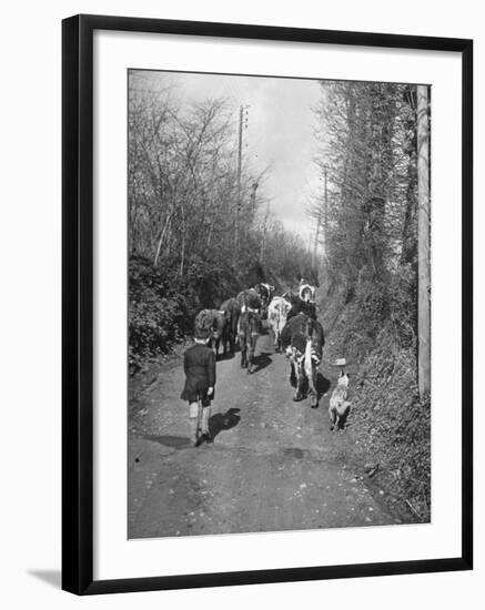 Boy and His Dog Driving the Cows in for Milking-null-Framed Photographic Print