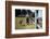 Boy and His Dog Walking Along a Fence-William P. Gottlieb-Framed Photographic Print