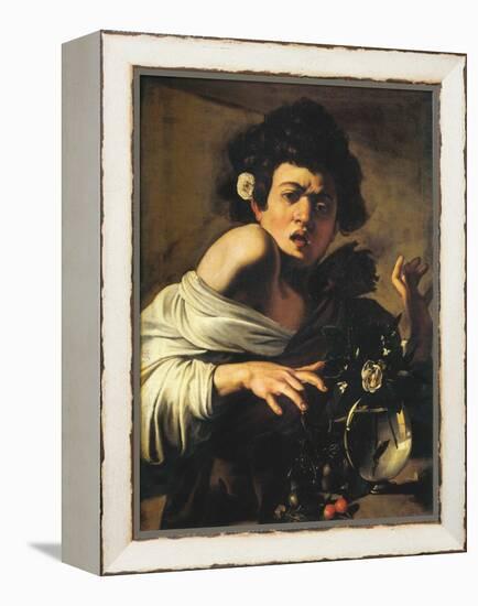 Boy Bitten by a Lizard, 1596-97 (Oil on Canvas)-Michelangelo Merisi da Caravaggio-Framed Premier Image Canvas