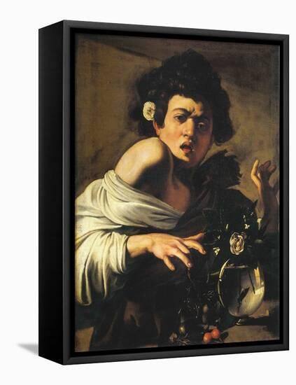 Boy Bitten by a Lizard, 1596-97 (Oil on Canvas)-Michelangelo Merisi da Caravaggio-Framed Premier Image Canvas