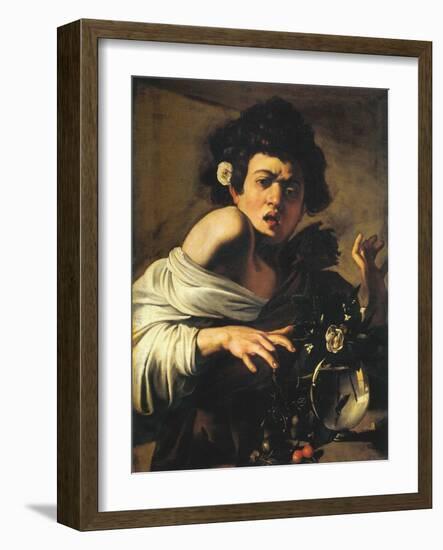 Boy Bitten by a Lizard, 1596-97 (Oil on Canvas)-Michelangelo Merisi da Caravaggio-Framed Giclee Print