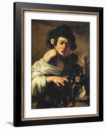 Boy Bitten by a Lizard, 1596-97 (Oil on Canvas)-Michelangelo Merisi da Caravaggio-Framed Giclee Print