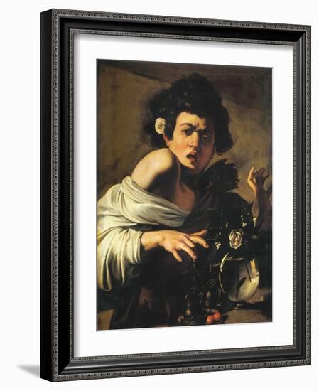 Boy Bitten by a Lizard, 1596-97 (Oil on Canvas)-Michelangelo Merisi da Caravaggio-Framed Giclee Print