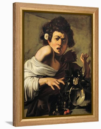 Boy Bitten by a Lizard-Caravaggio-Framed Premier Image Canvas