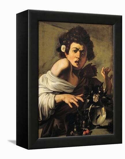 Boy Bitten by a Lizard-Caravaggio-Framed Premier Image Canvas