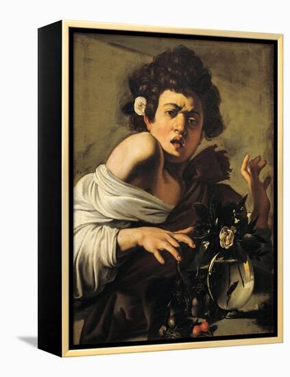 Boy Bitten by a Lizard-Caravaggio-Framed Premier Image Canvas