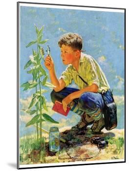 "Boy Botanist,"August 27, 1932-Eugene Iverd-Mounted Giclee Print