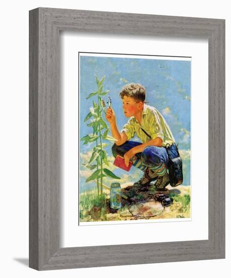 "Boy Botanist,"August 27, 1932-Eugene Iverd-Framed Giclee Print