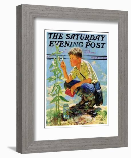 "Boy Botanist," Saturday Evening Post Cover, August 27, 1932-Eugene Iverd-Framed Giclee Print