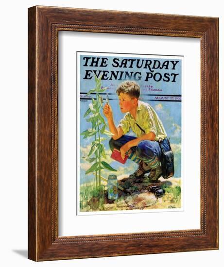 "Boy Botanist," Saturday Evening Post Cover, August 27, 1932-Eugene Iverd-Framed Giclee Print