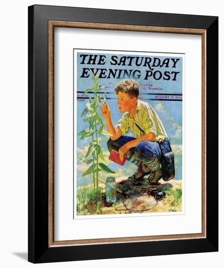 "Boy Botanist," Saturday Evening Post Cover, August 27, 1932-Eugene Iverd-Framed Giclee Print