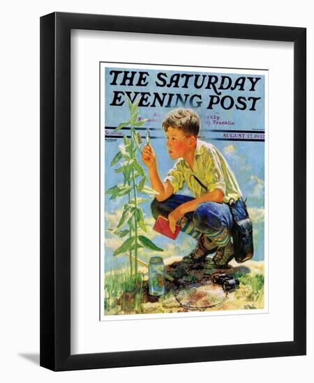 "Boy Botanist," Saturday Evening Post Cover, August 27, 1932-Eugene Iverd-Framed Giclee Print