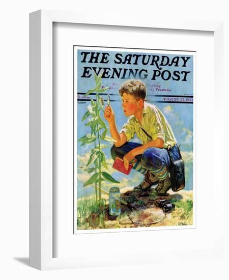 "Boy Botanist," Saturday Evening Post Cover, August 27, 1932-Eugene Iverd-Framed Giclee Print