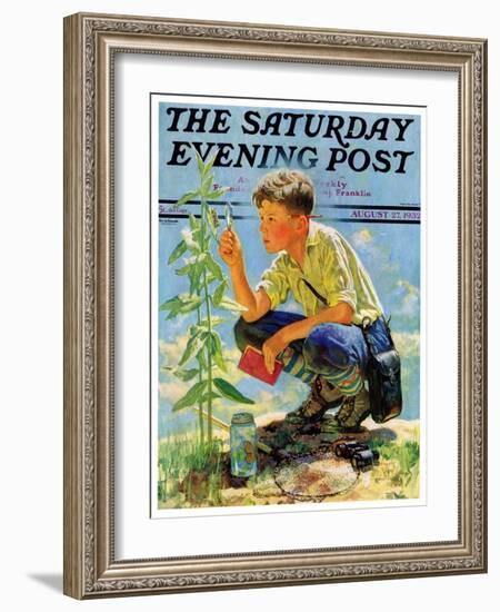 "Boy Botanist," Saturday Evening Post Cover, August 27, 1932-Eugene Iverd-Framed Giclee Print