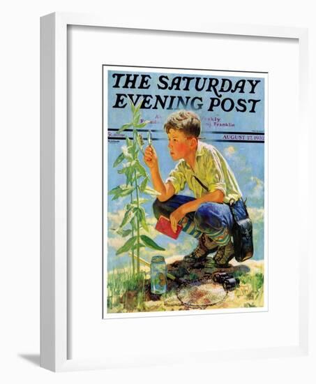 "Boy Botanist," Saturday Evening Post Cover, August 27, 1932-Eugene Iverd-Framed Giclee Print