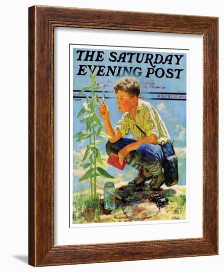 "Boy Botanist," Saturday Evening Post Cover, August 27, 1932-Eugene Iverd-Framed Giclee Print