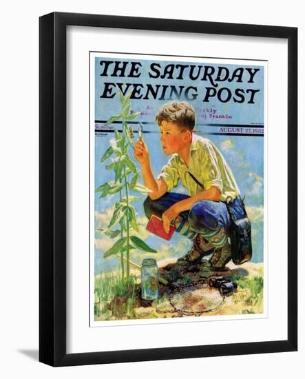 "Boy Botanist," Saturday Evening Post Cover, August 27, 1932-Eugene Iverd-Framed Giclee Print