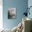 Boy Diving from Top of Building on Wharf, Poised in Air over River-null-Photographic Print displayed on a wall