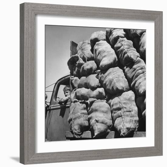 Boy Driving Truck Carrying Load of Potatoes-George Strock-Framed Photographic Print