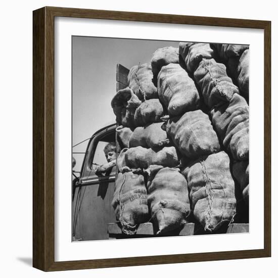 Boy Driving Truck Carrying Load of Potatoes-George Strock-Framed Photographic Print