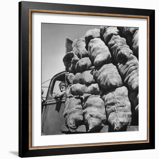 Boy Driving Truck Carrying Load of Potatoes-George Strock-Framed Photographic Print