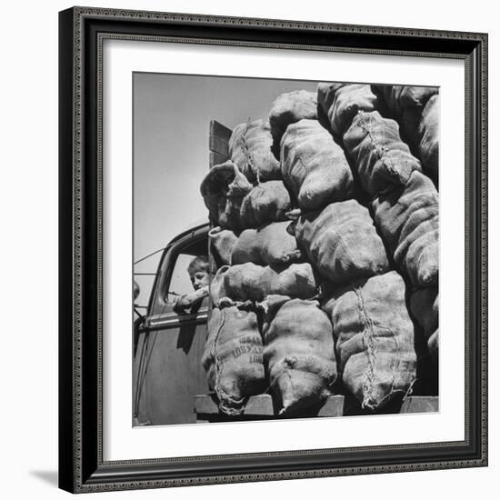 Boy Driving Truck Carrying Load of Potatoes-George Strock-Framed Photographic Print