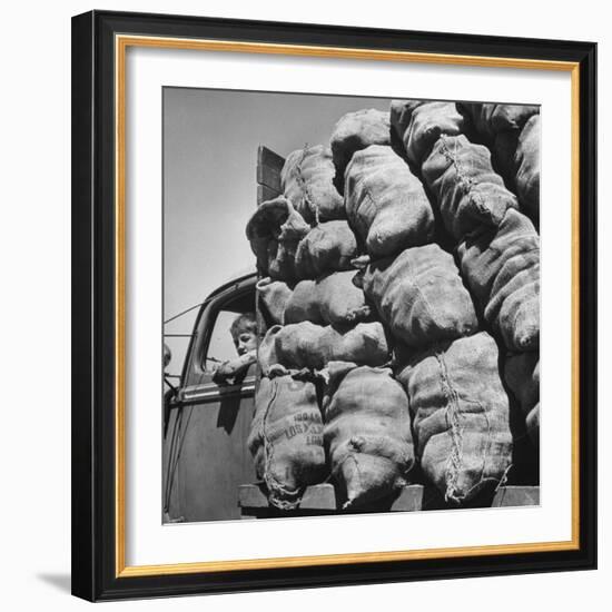 Boy Driving Truck Carrying Load of Potatoes-George Strock-Framed Photographic Print