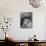 Boy Eating Hot Dog-Ralph Morse-Photographic Print displayed on a wall