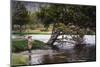 Boy Fishing at Firehole River, Wyoming, USA-Scott T. Smith-Mounted Photographic Print