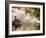 Boy Fishing from a Rock on a Pond-null-Framed Photographic Print