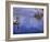 Boy Fishing from a Rock on a Pond-null-Framed Photographic Print