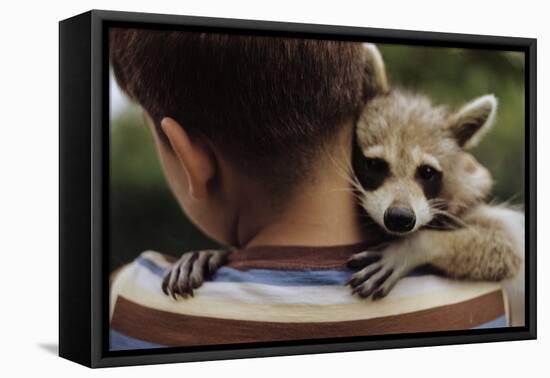 Boy Holding a Raccoon-William P. Gottlieb-Framed Premier Image Canvas