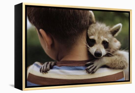 Boy Holding a Raccoon-William P. Gottlieb-Framed Premier Image Canvas