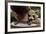 Boy Holding a Raccoon-William P. Gottlieb-Framed Photographic Print