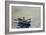 Boy in a Boat-Winslow Homer-Framed Giclee Print