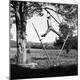 Photographic Print